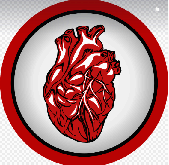 심부전증 정리! 원인부터 NT-proBNP&middot;sST2 검사까지 한눈에