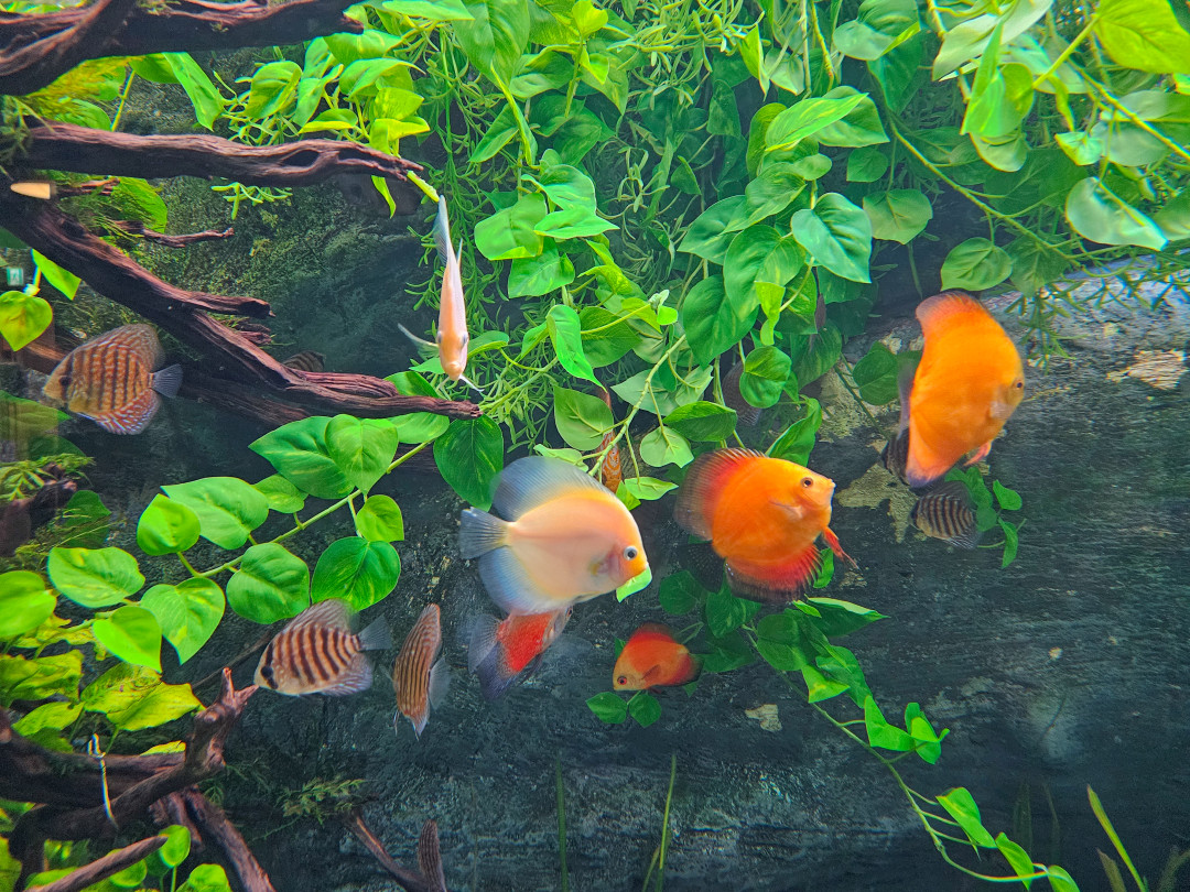 롯데월드 아쿠아리움