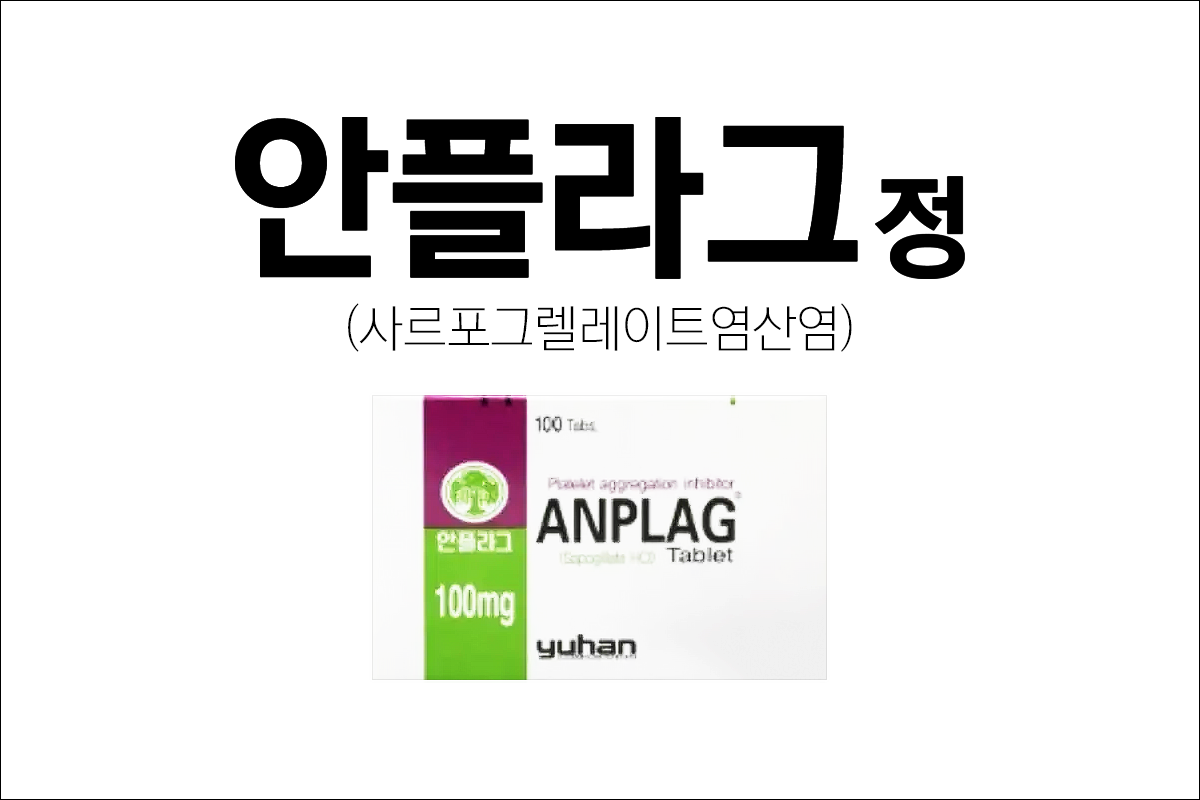 안플라그정 100mg(Anplag Tablet 100mg)