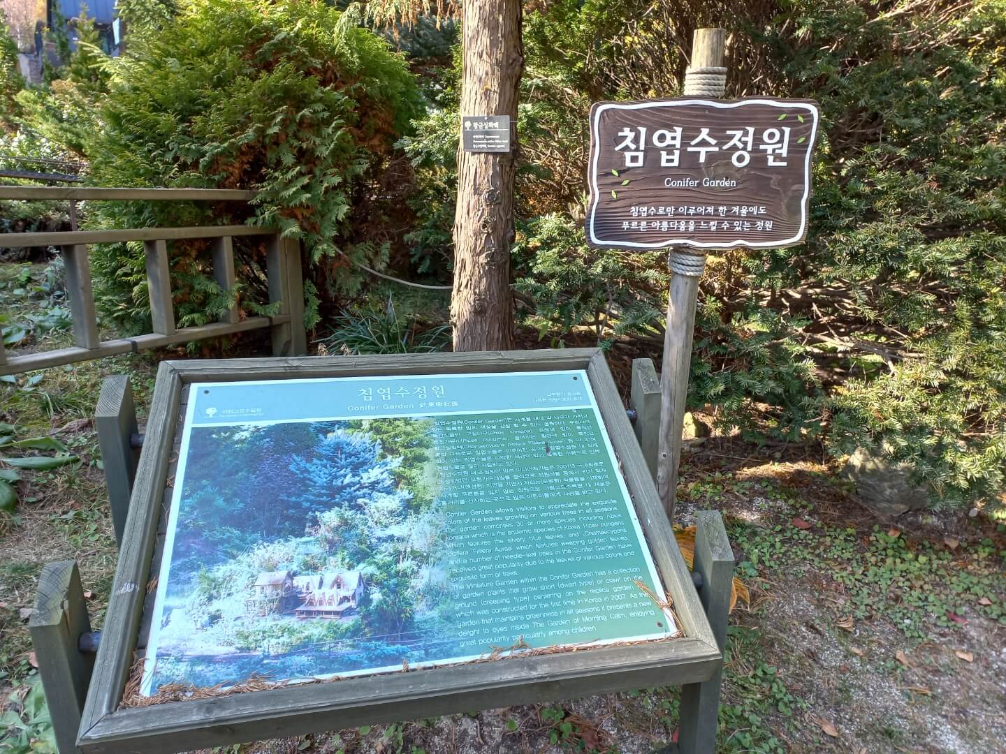 아침고요수목원 단풍