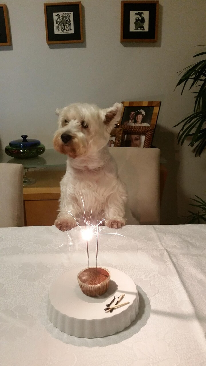 50대 불면증 극복하기