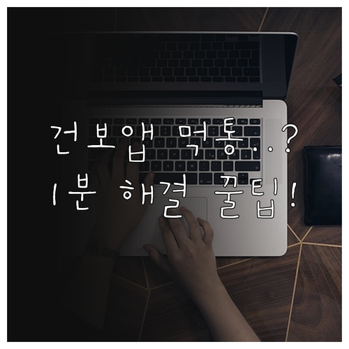 The건강보험 앱 업데이트 후 먹통 ..