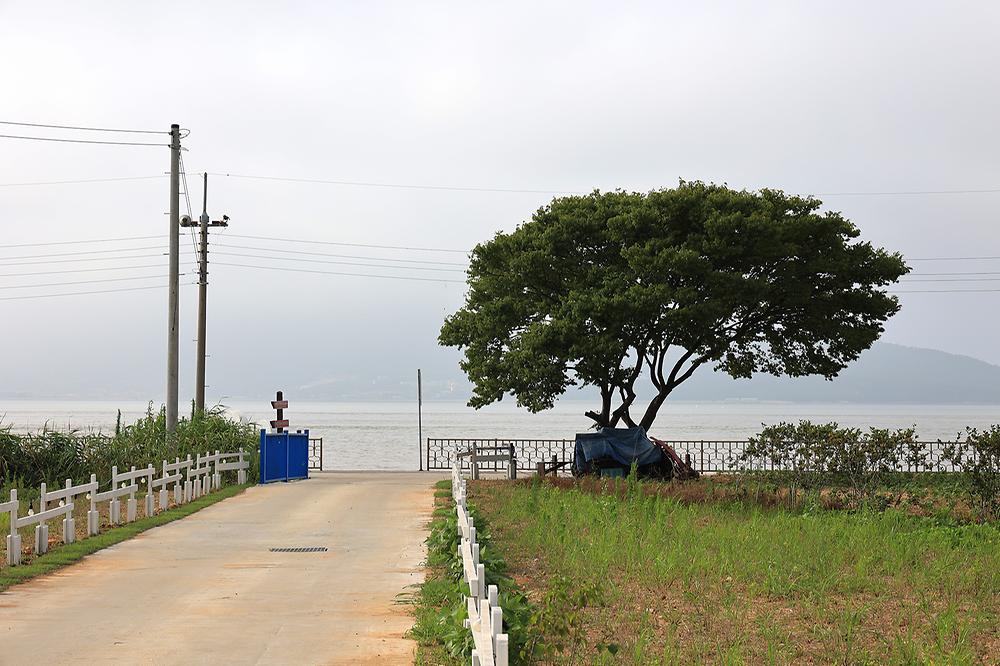 인천 바다다 캠핑장 소개