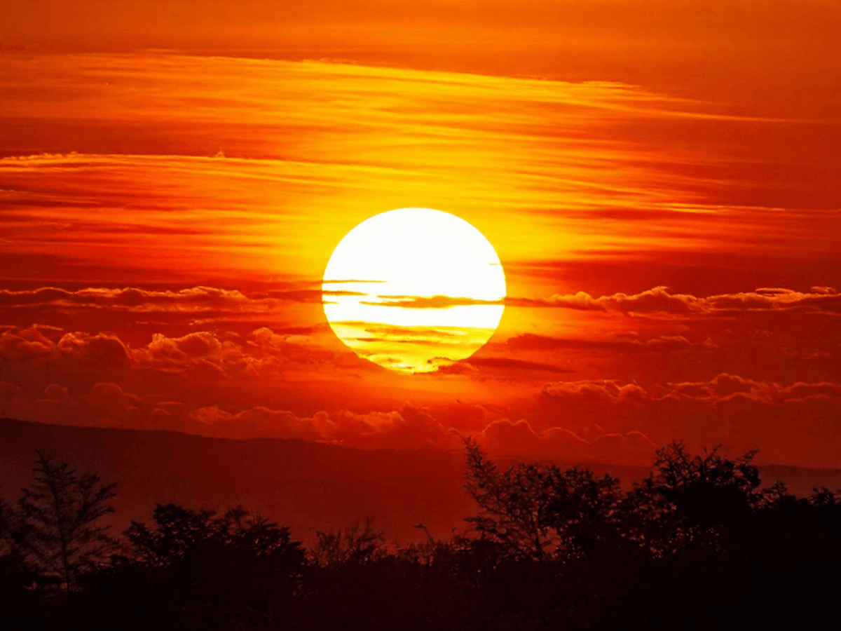 1월 1일 일출 여행