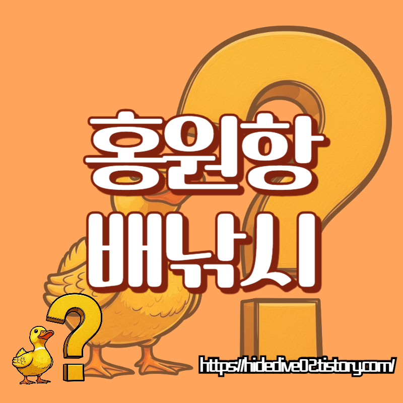 홍원항 배낚시에 대하여 알아보자