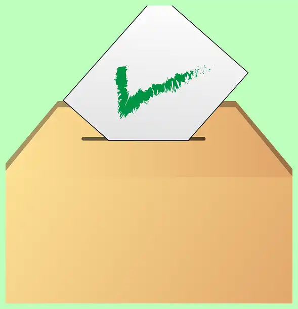 미국 대선 결과 속보 2024