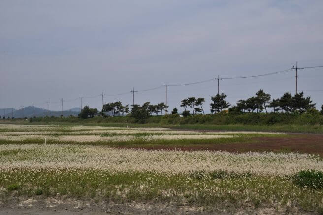 신안 염전 노예사건 재발생