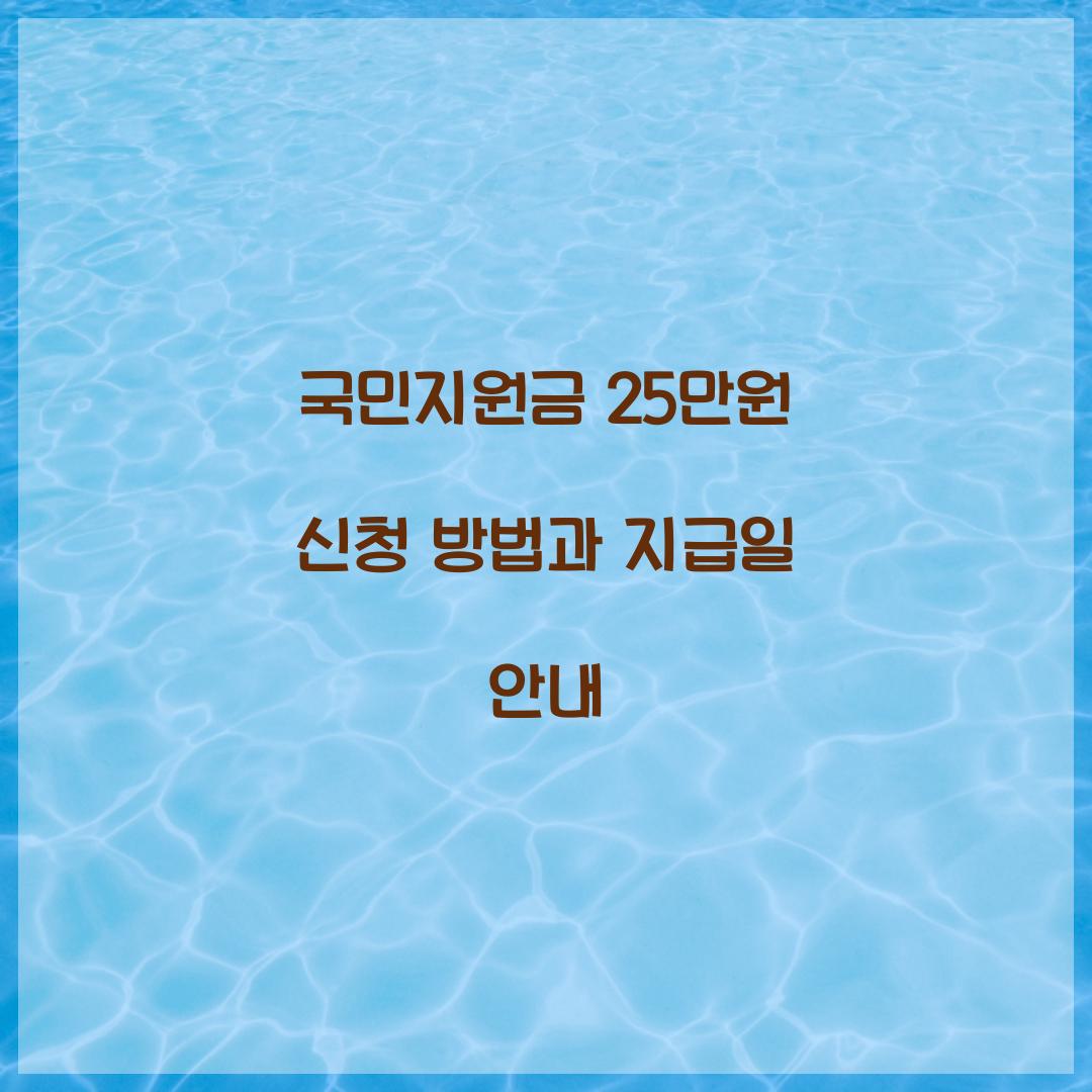 국민지원금 25만원