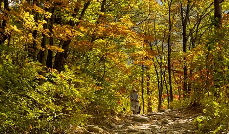 설악산 단풍