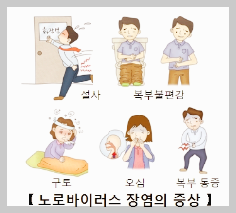 노로바이러스 원인, 증상, 현황, 예방 및 대응