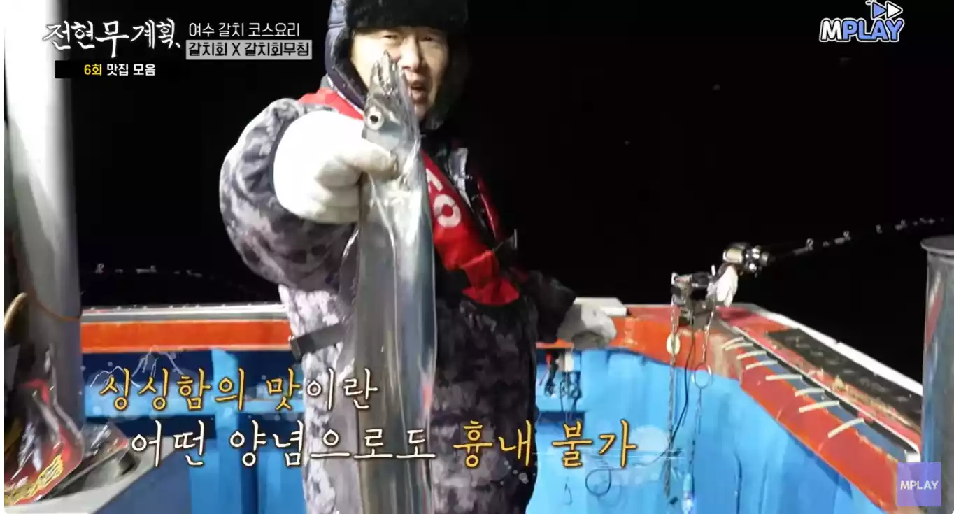 갈치