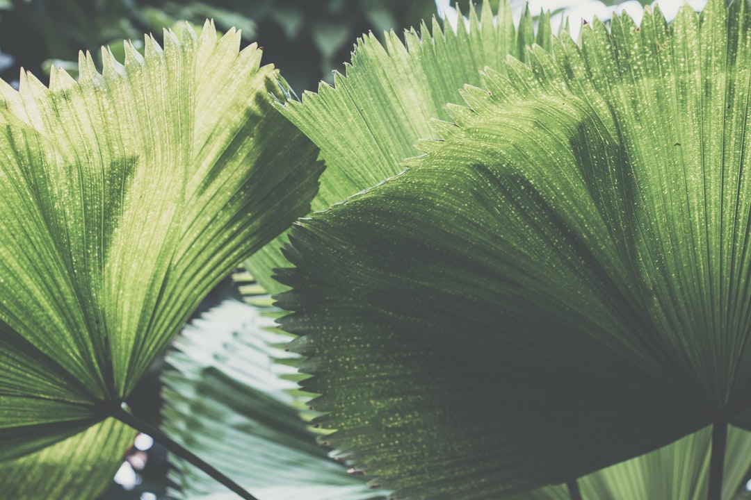Humidity