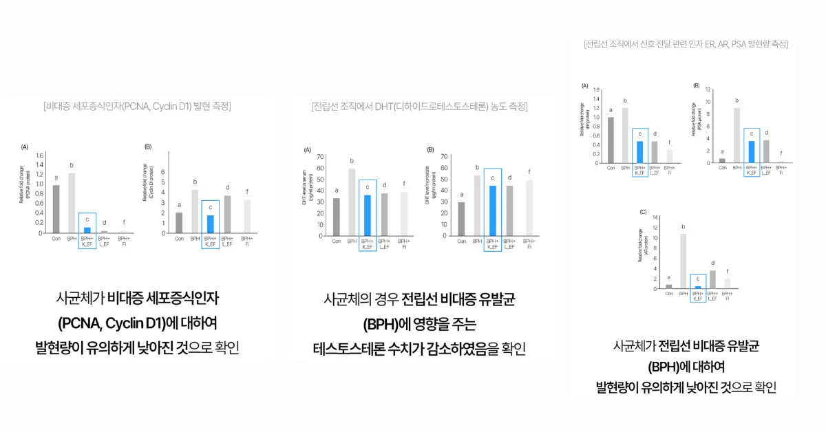 전립선 유산균 바로세움 유산균 효과