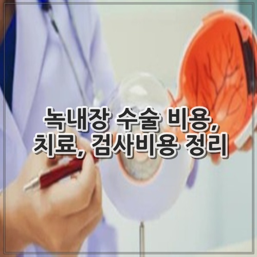 녹내장 수술 비용, 치료, 검사비용 정리