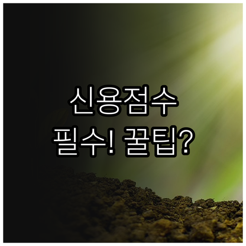 체크카드부터 공과금까지 신용점수 올리..