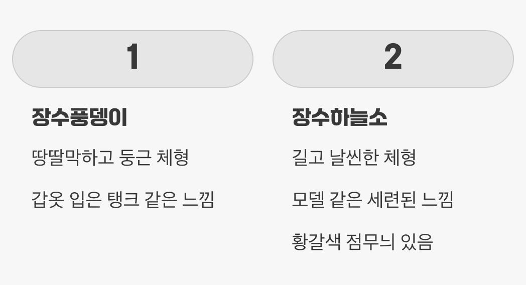 몸매를 보면 알 수 있어요