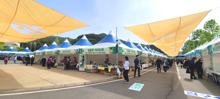 홍천 산나물 축제장