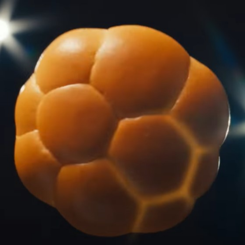 페퍼로니 피자 버거 맥도날드 월드컵 축구공 모양 버거빵