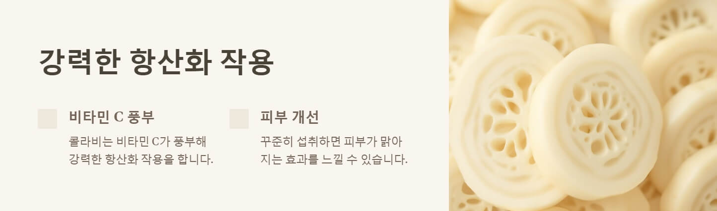 콜라비 효능 정말 놀라운 4가지