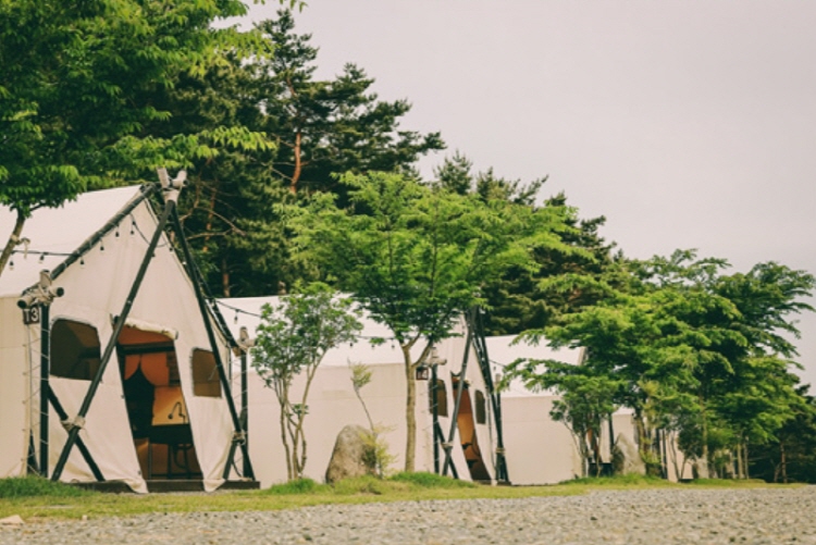 칠곡 가볼만한곳