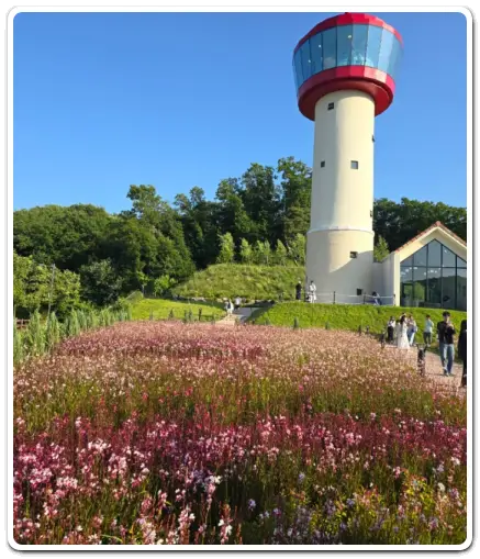 용인-자작나무숲-입장료-운영시간