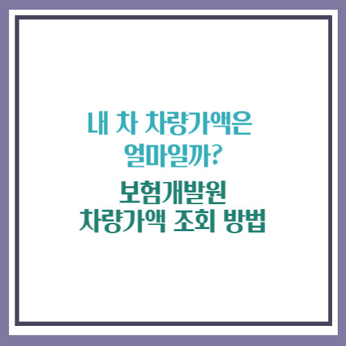 보험개발원 차량가액