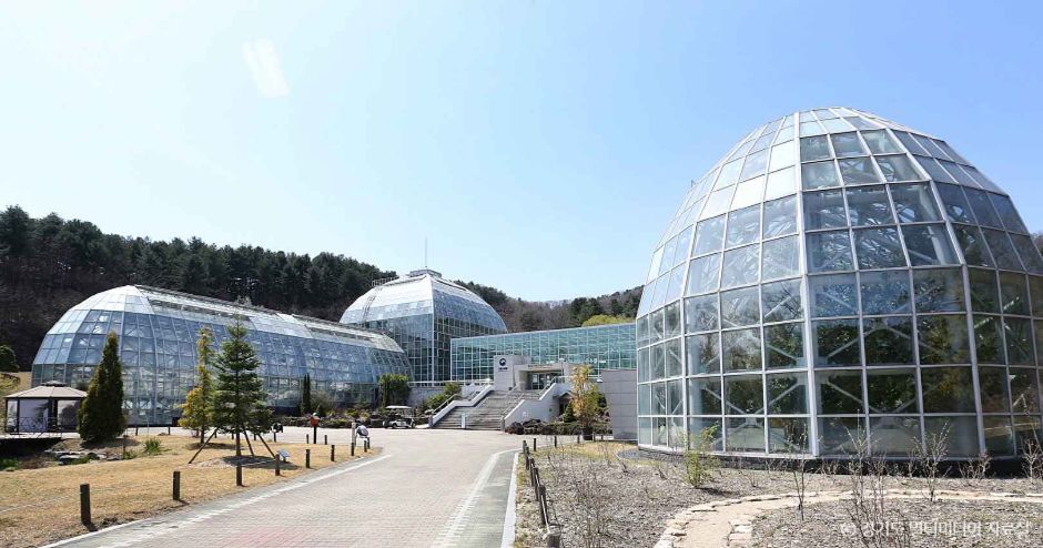 광릉 국립수목원