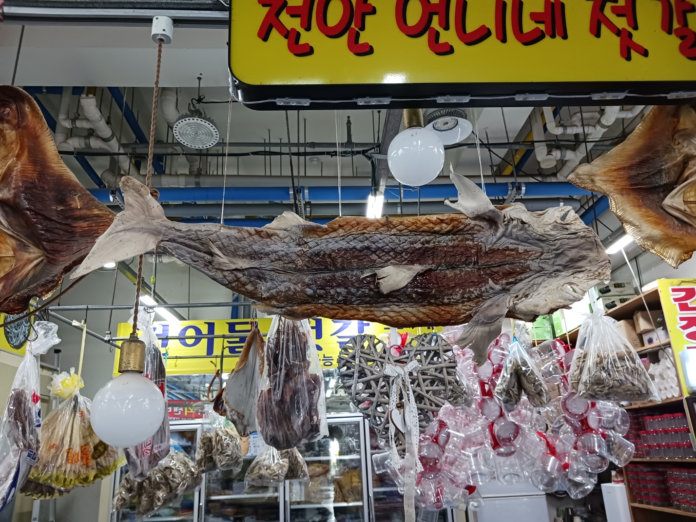 삽교호전망대종합어시장