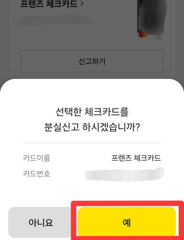 카카오체크카드 분실신고방법 7