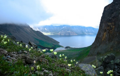 시 천지꽃과 백두산 관련 이미지