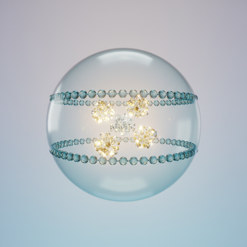 리포좀 기술, NMN 흡수율을 극대화하다