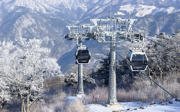 가리왕산 케이블카 예약 운영시간 주차장 할인_4