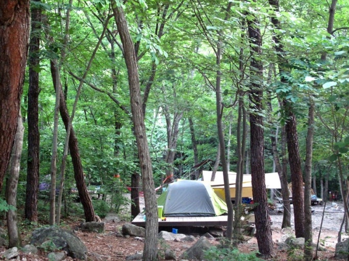 야영장 (텐트 캠핑) 관련 사진