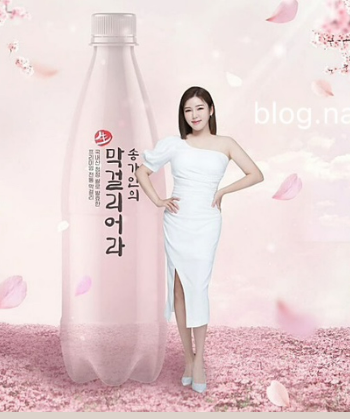 송가인 막걸리 가격 및 오픈런