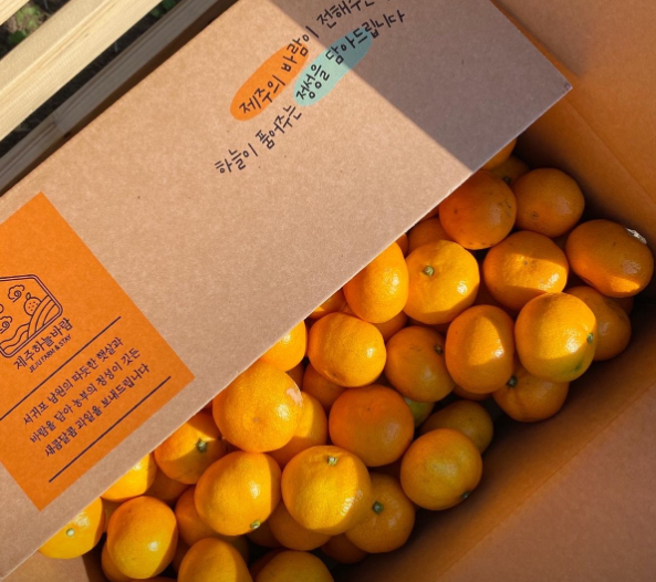 제주하늘바람 감귤