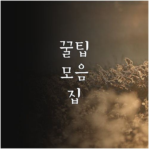 성남시 2025 아동수당플러스: 신청..