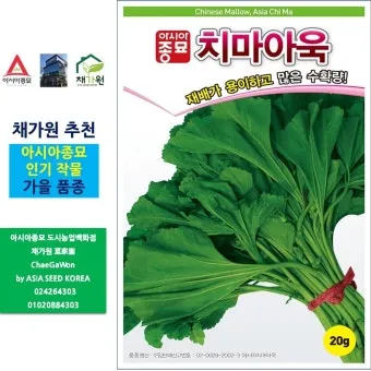 콜라드 재배 상자 텃밭 배양토 배합 병해 줄이기_2