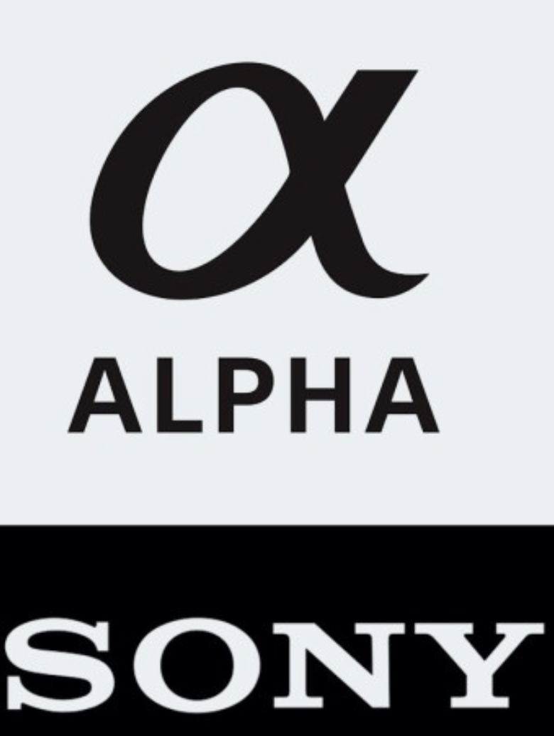 소니 카메라 라인업 완벽 가이드: 모델별 특징과 선택 팁