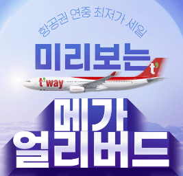 항공사 얼리버트 프로모션 행사