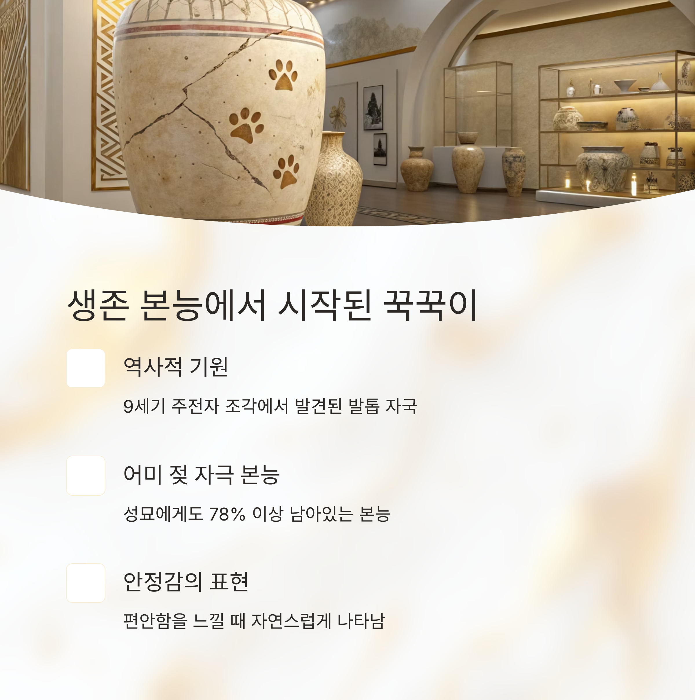 생존 본능에서 시작된 꾹꾹이