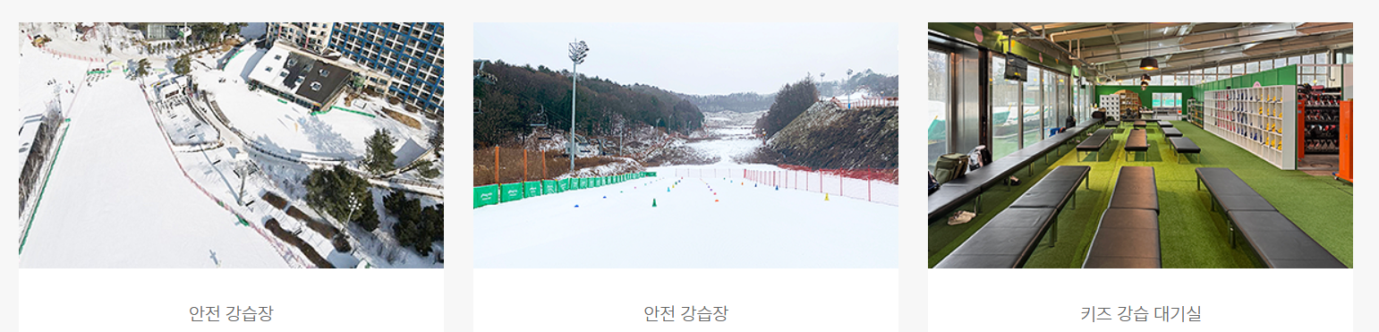 휘닉스평창스키학교