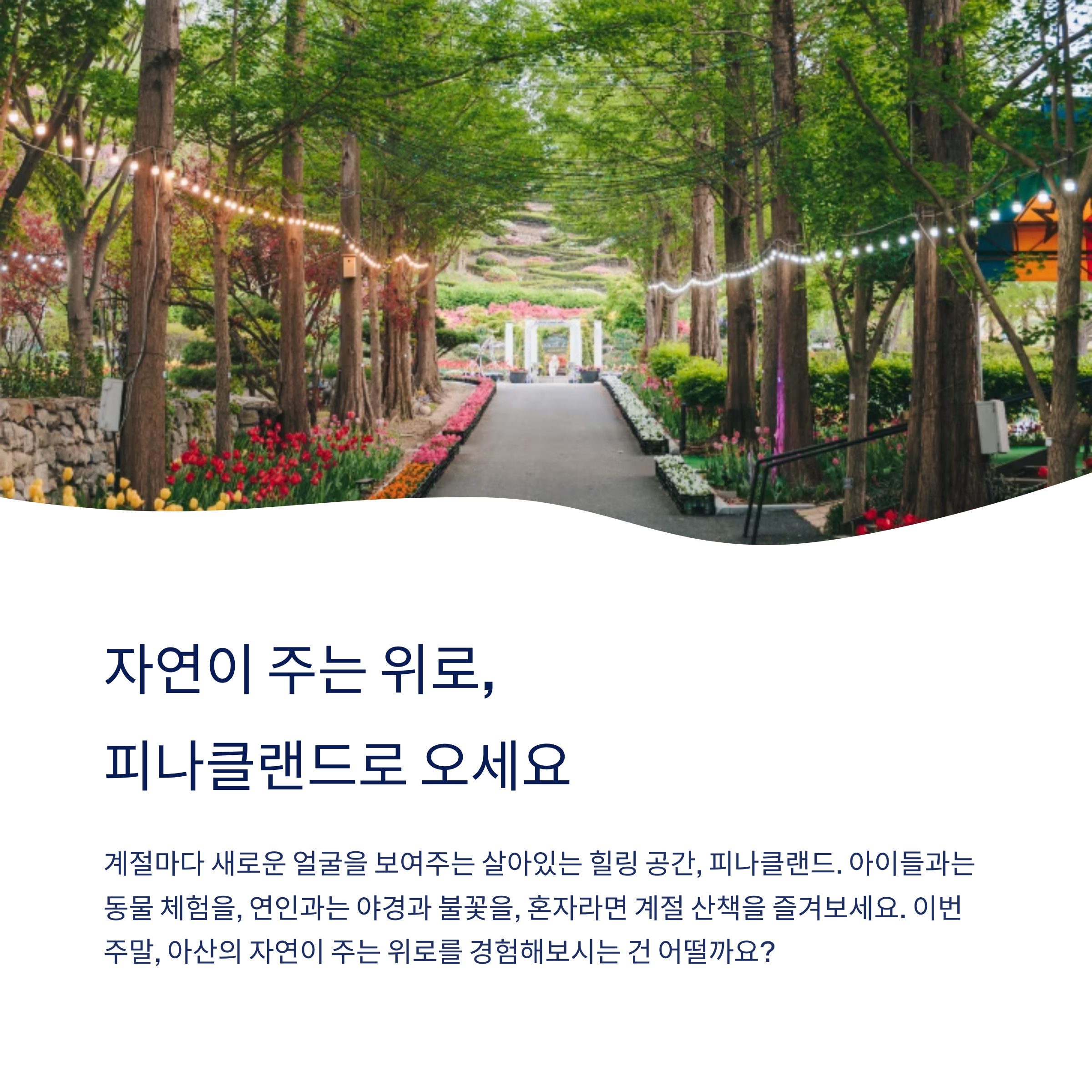 자연이 주는 위로 피나클랜드로 오세요