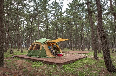 연곡 솔향기 캠핑장 예약