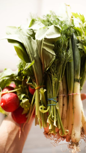 경주 봄나들이 완벽 코스: 보문단지 벚꽃 산책과 향긋한 산나물 비빔밥의 만남