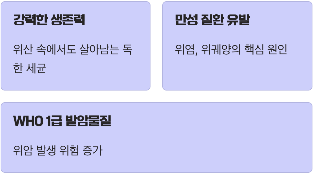 우리 위장 속의 무서운 불청객