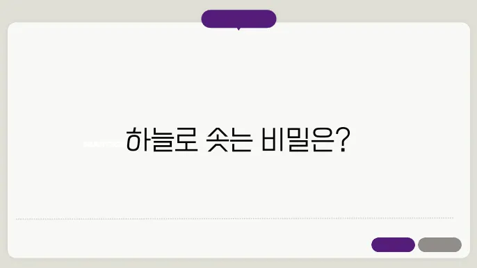 비행기의 이륙 원리