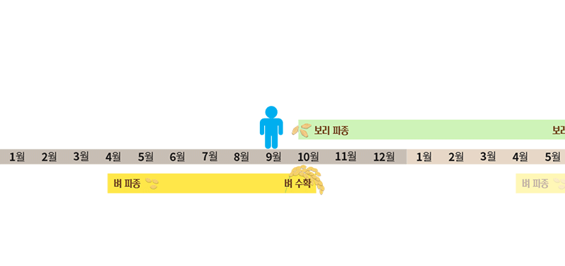 보리 파종과 수확시기
