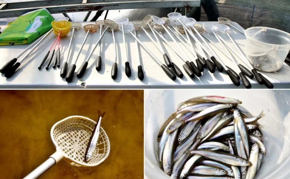 2026 양평 빙어축제 수미마을