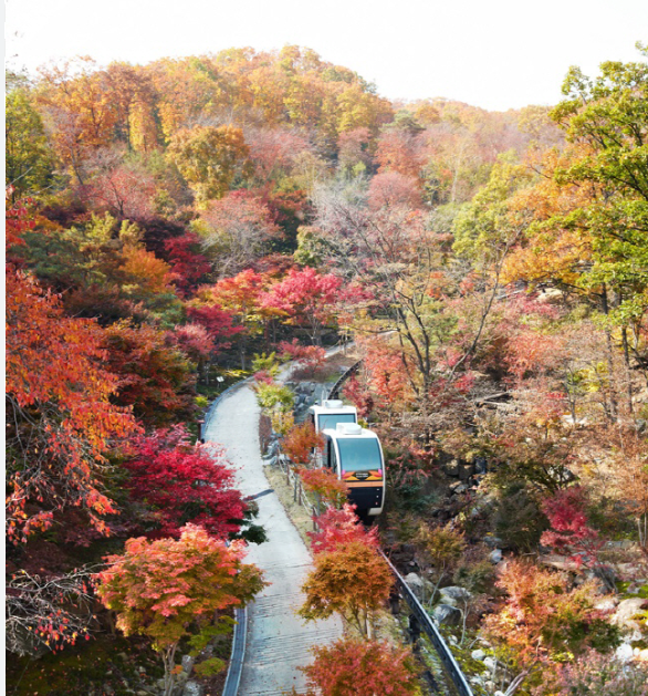 화담숲