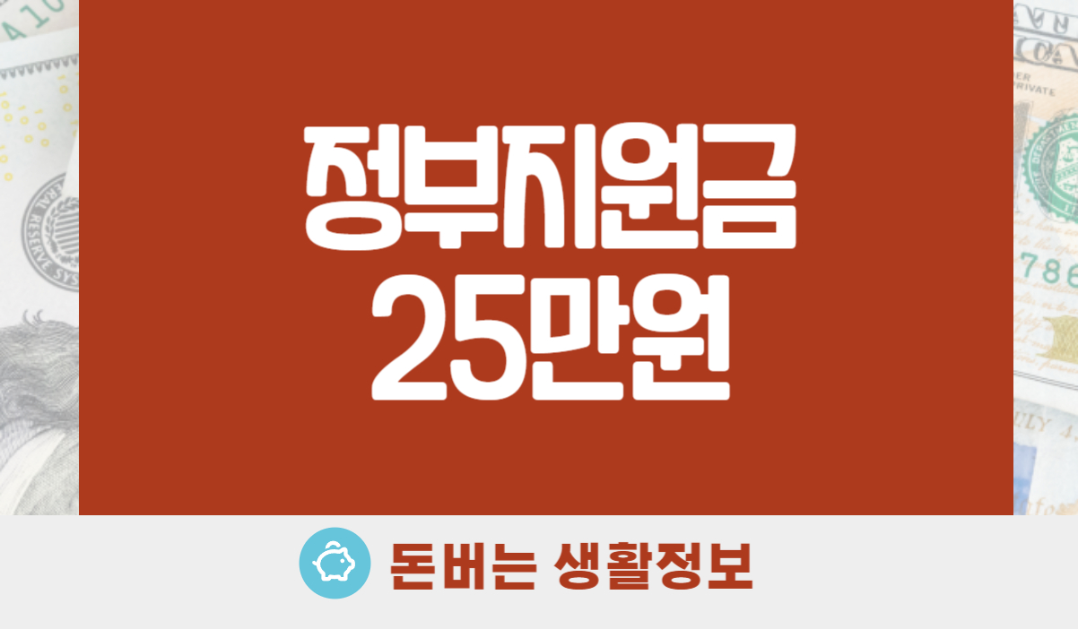 정부지원금 국민지원금 25만원